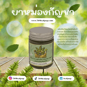 ยาหม่องกัญชา