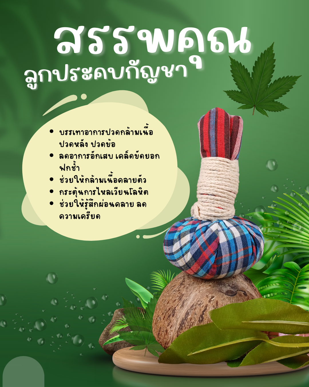 สรรพคุณลูกประคบ