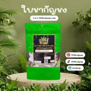 ใบชากัญชง