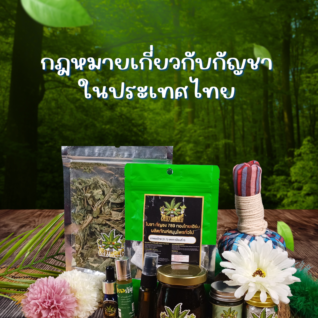 กฎหมายกัญชา