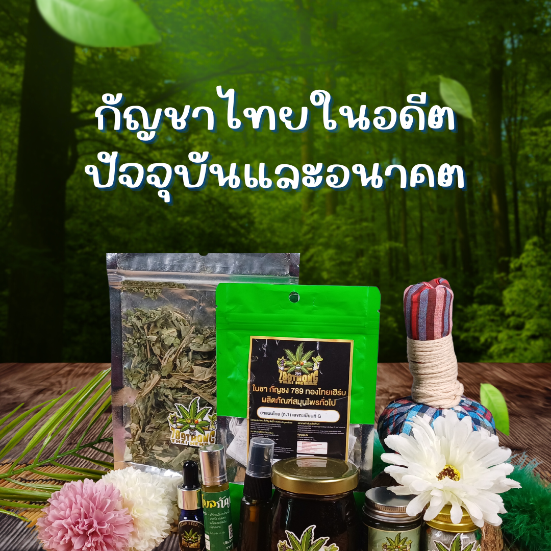 กัญชาไทยอดีตปัจจุบันอนาคต