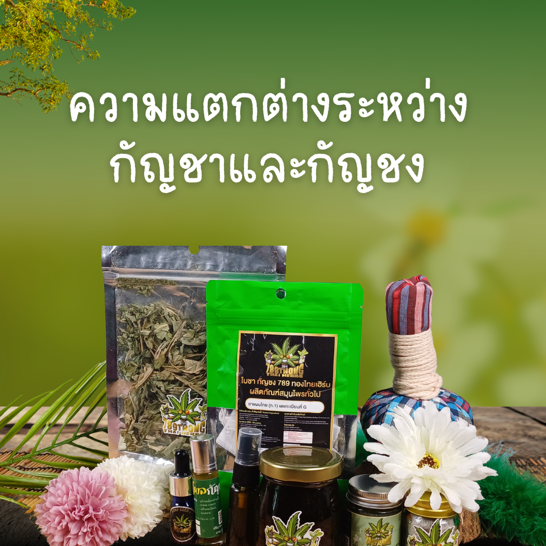 ความแตกต่าง