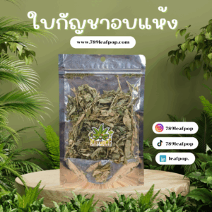 ใบชาอบแห้ง